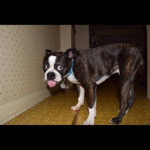 Meet your Posher, Brian